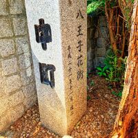 画像1336