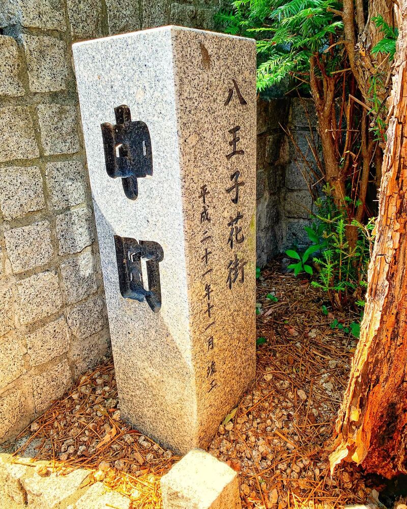 画像1336